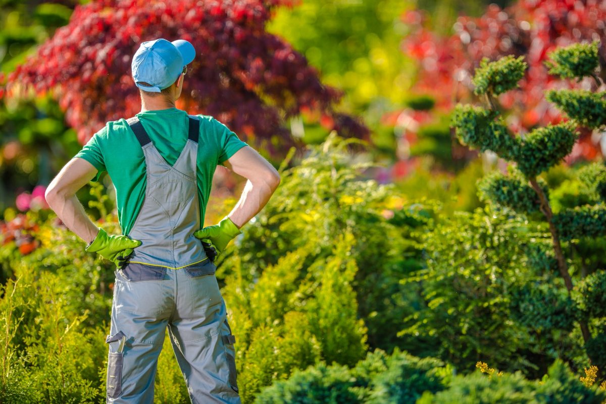 Satisfied Gardener in the Garden